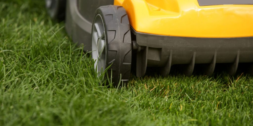 Græs slået til perfektion: Her er fremtidens robotplæneklipper