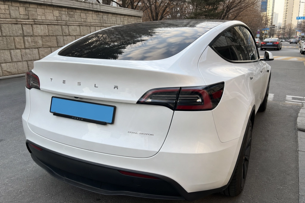 Tesla Model Y vælter Hyundai og Kia: Bliver Sydkoreas mest solgte bil