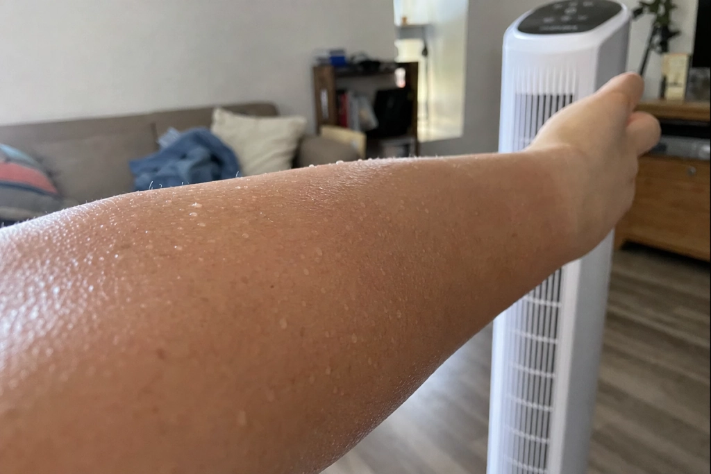 Danmark satte varmerekord med 37 grader: Derfor svigter din ventilator over 35 grader
