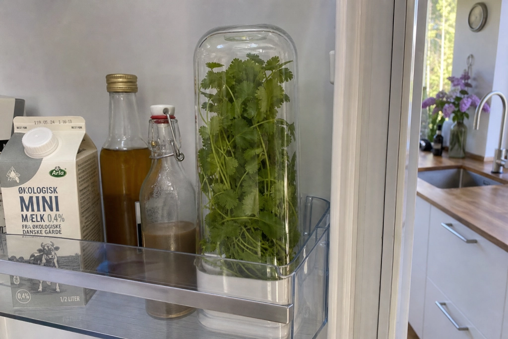 IKEA-hack til 49 kroner: Denne lille beholder holder dine krydderurter friske i op til tre uger