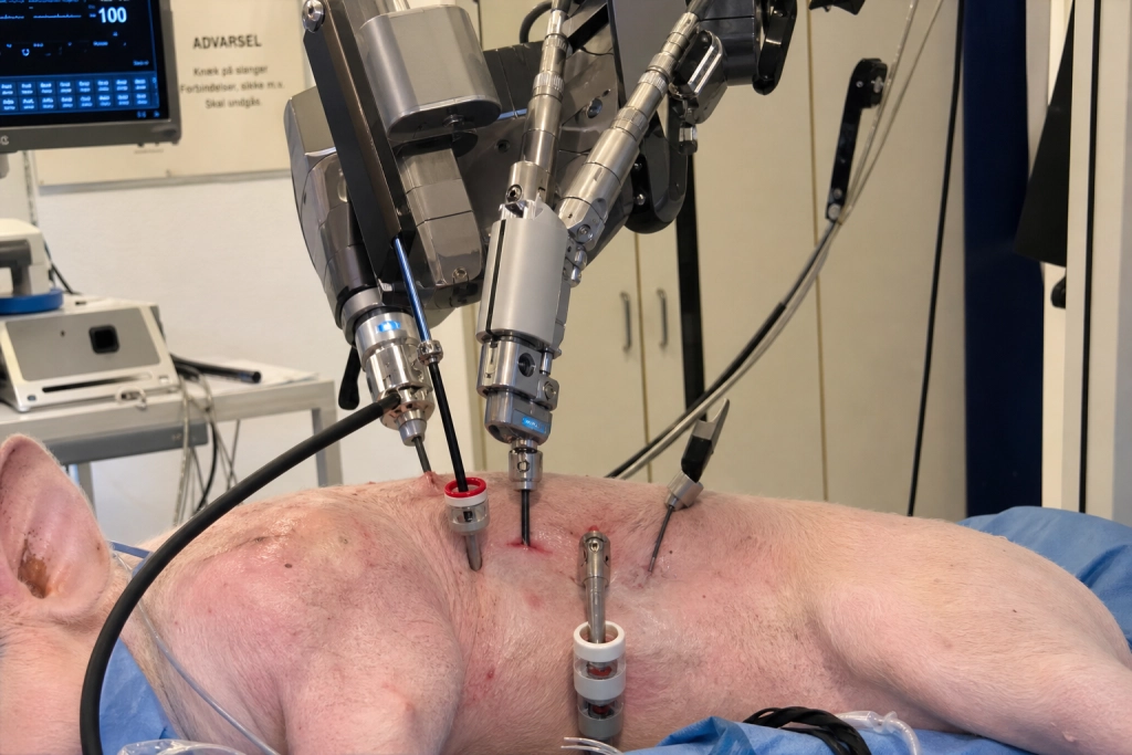 Robot til under 100.000 kroner gennemførte verdens første humanoid-kirurgi på levende grise