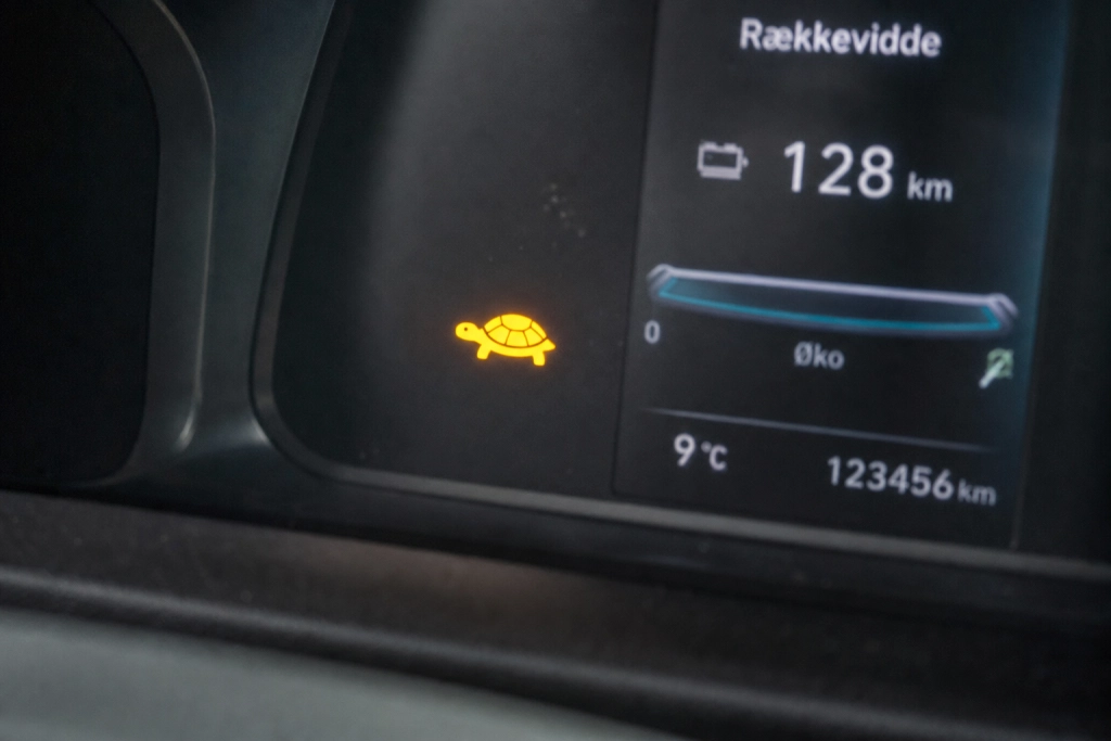 Det betyder det, hvis du ser en skildpadde i displayet på din bil